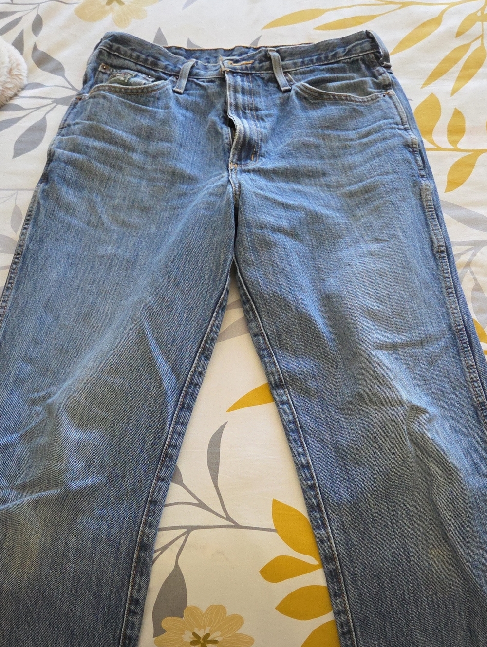 Cinch Men's Straight Jeans in Blue Denim